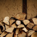 Ile kosztuje drewno opałowe? Jakie są ceny kubika drewna w 2023?