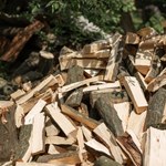 Ile kosztuje drewno opałowe? Tyle zapłacimy za kubik drewna w wakacje 2023