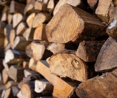 Ile kosztuje drewno opałowe? Tyle zapłacimy za kubik w wakacje 2024