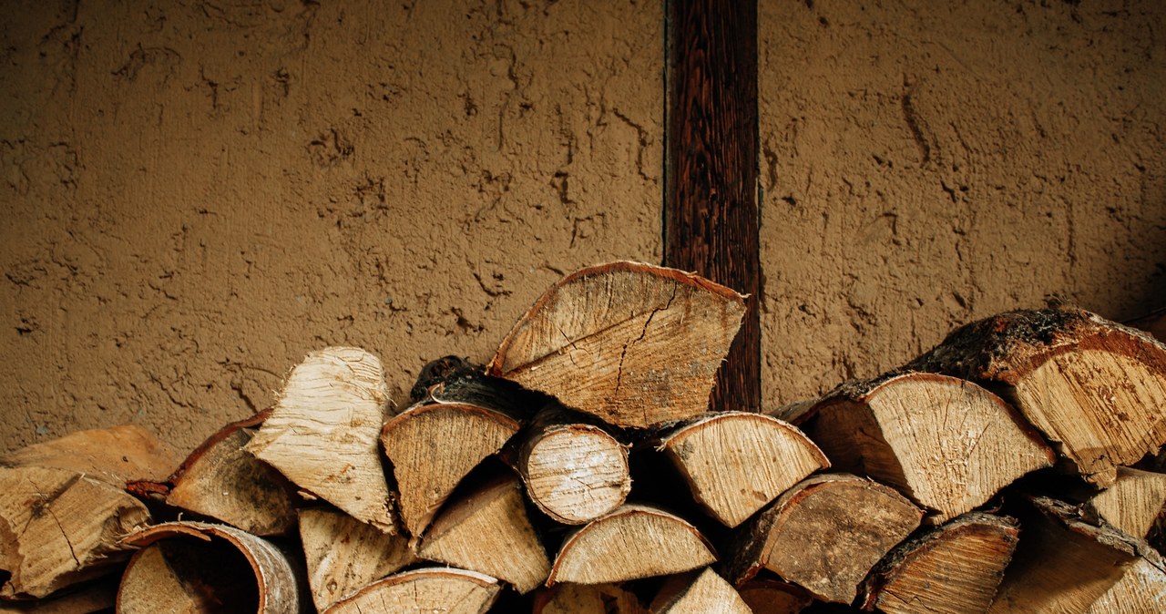 Ile kosztuje drewno opałowe w 2023 roku? /123RF/PICSEL