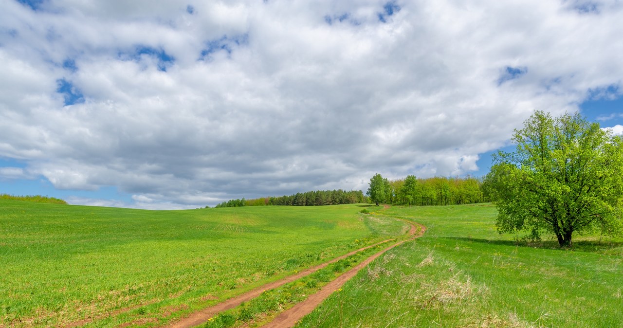 Ile kosztuje działka? Jakie są ceny kupna w różnych miastach? /123RF/PICSEL