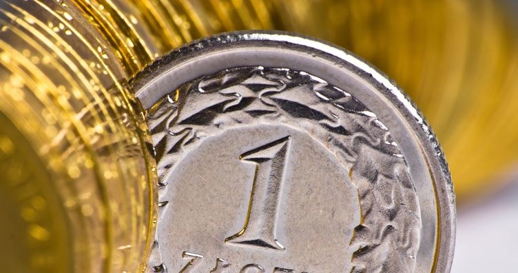 Ile kosztuje euro, dolar i frank 20.01.2023 roku? Zdj. ilustracyjne /123RF/PICSEL