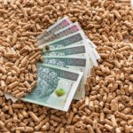 Ile kosztuje ogrzewanie pelletem? Cena kotła to dopiero początek wydatków