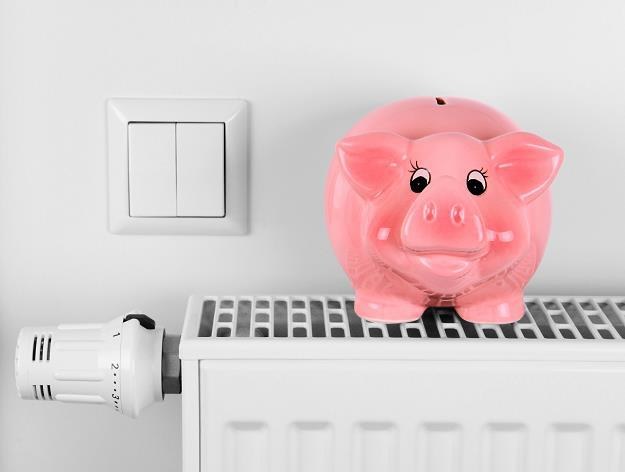 Ile kosztuje pompa ciepła i jakie daje oszczędności? /&copy;123RF/PICSEL