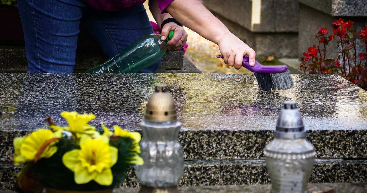 Ile kosztuje usługa sprzątania grobów? /Beata Zawarzel /East News