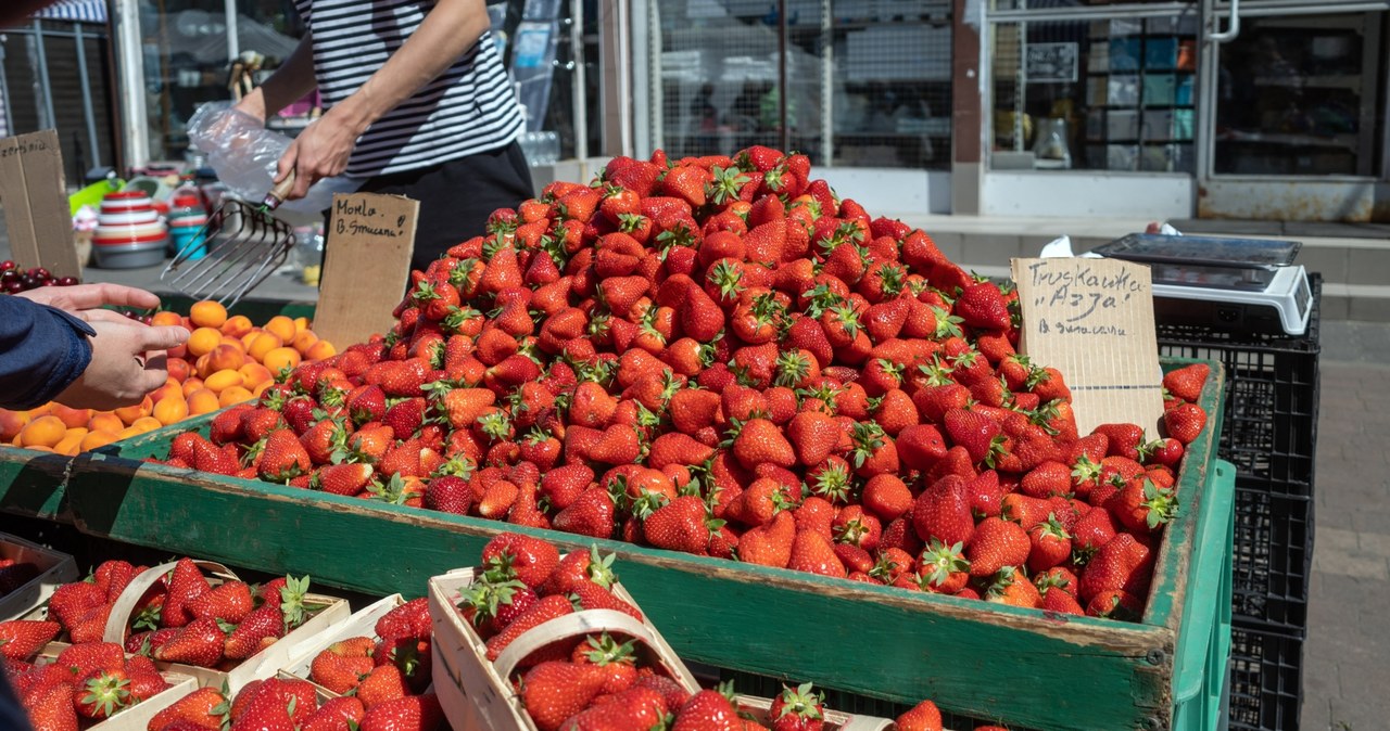 Ile kosztuje w tym roku kilogram truskawek? /East News