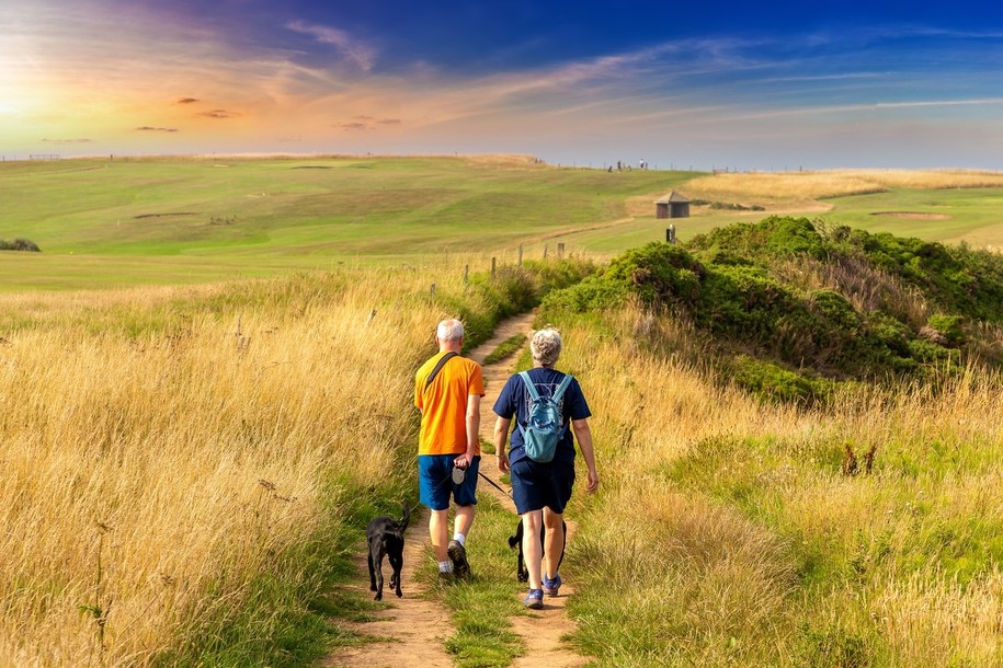 Ile kroków wystarczy dla zdrowia serca u seniorów? Nowe badania obalają mit 10 tysięcy /Shutterstock