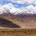 Ile lat liczy Wyżyna Tybetańska?