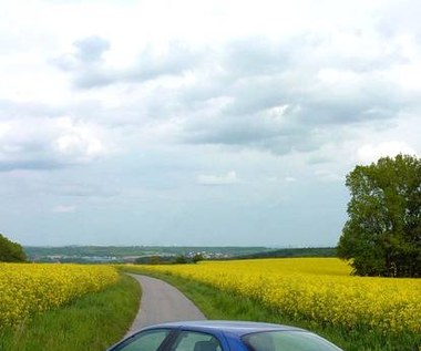 Ile masz koni pod maską? 