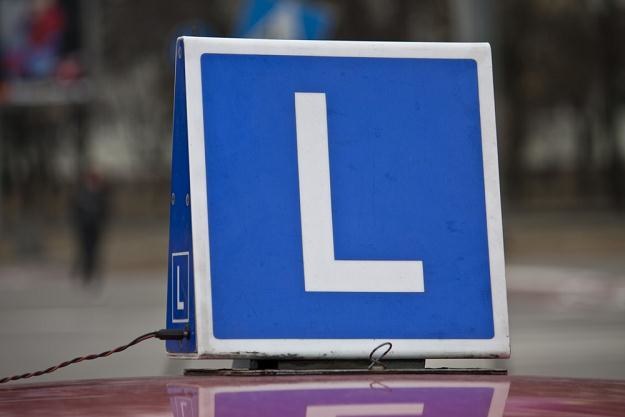 Ile osób kupiło prawo jazdy? / Fot: Krystian Dobuszyński /Reporter