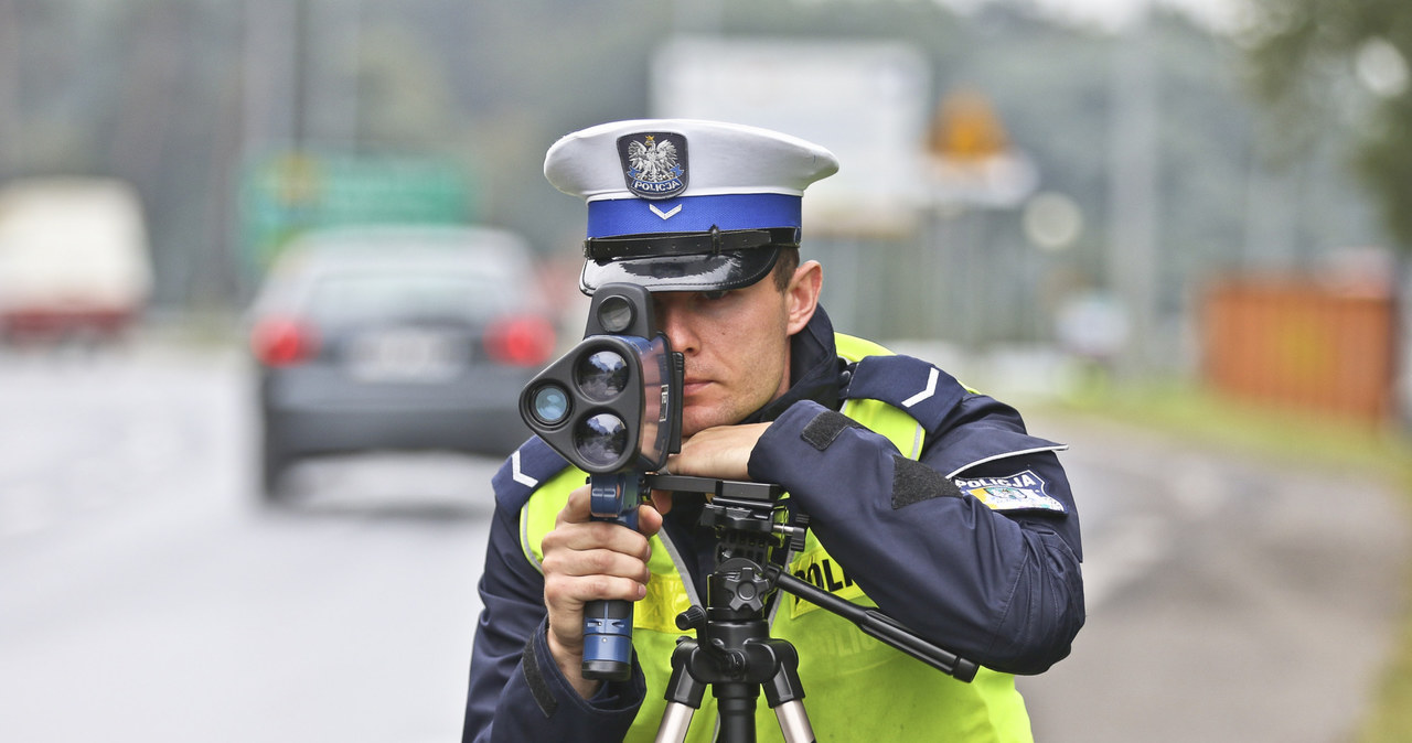 Ile policjanci zatrzymali praw jazdy? /Piotr Jędzura /Reporter