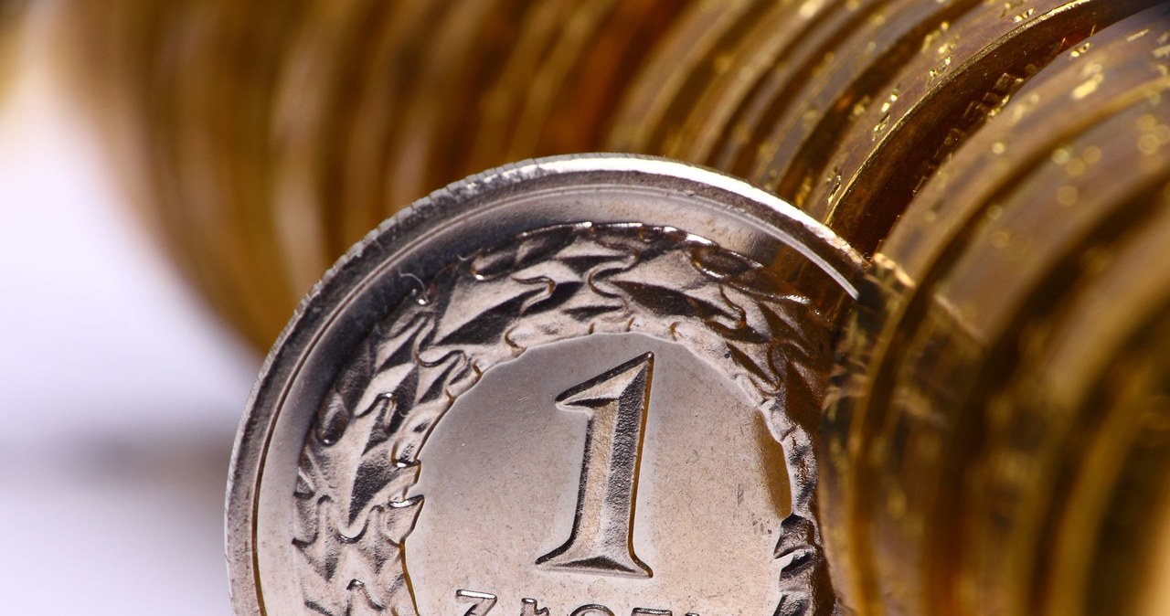 Ile zapłacimy za euro, dolara i franka w środę, 8 lutego? /123RF/PICSEL