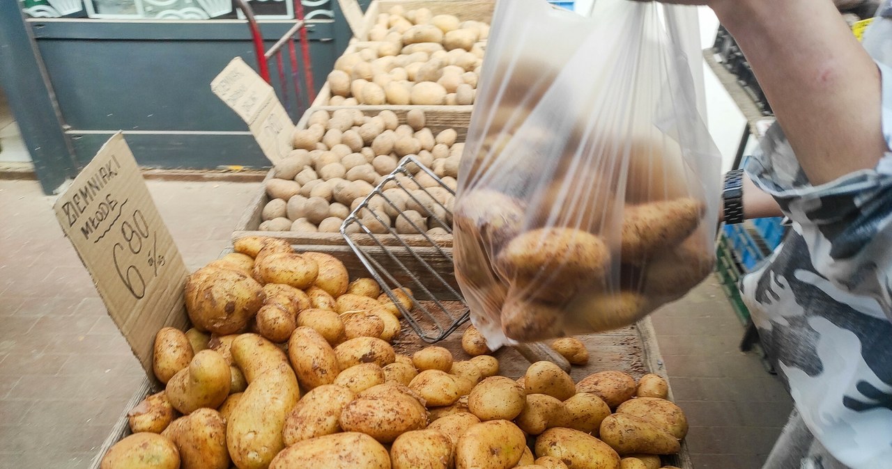 Ile zapłacimy za ziemniaki w maju? /Piotr Kamionka/REPORTER /East News