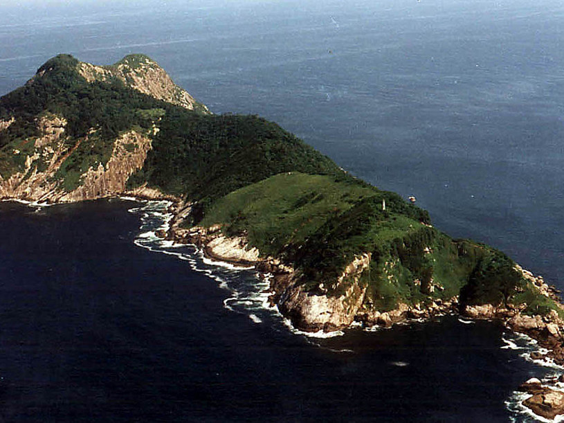 Ilha da Queimada Grande to jedno z najniebezpieczniejszych miejsc na Ziemi /domena publiczna