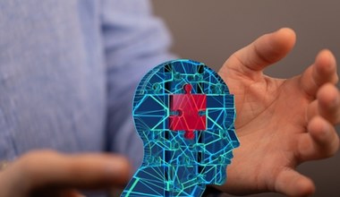 Illinois zakazuje terapii AI. Kary za diagnozę od ChataGPT