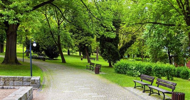 Ilość dużych terenów zielonych w polskich aglomeracjach spada /&copy;123RF/PICSEL