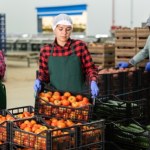 Główny Urząd Statystyczny