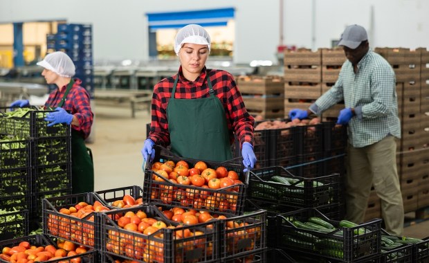 Ilu cudzoziemców pracuje w Polsce? Nowe dane GUS