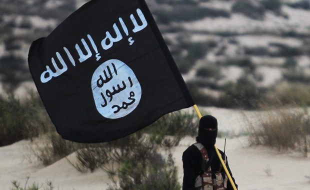 Ilu mieszkańców państw Europy wstąpiło w szeregi ISIS? Podano nowe dane