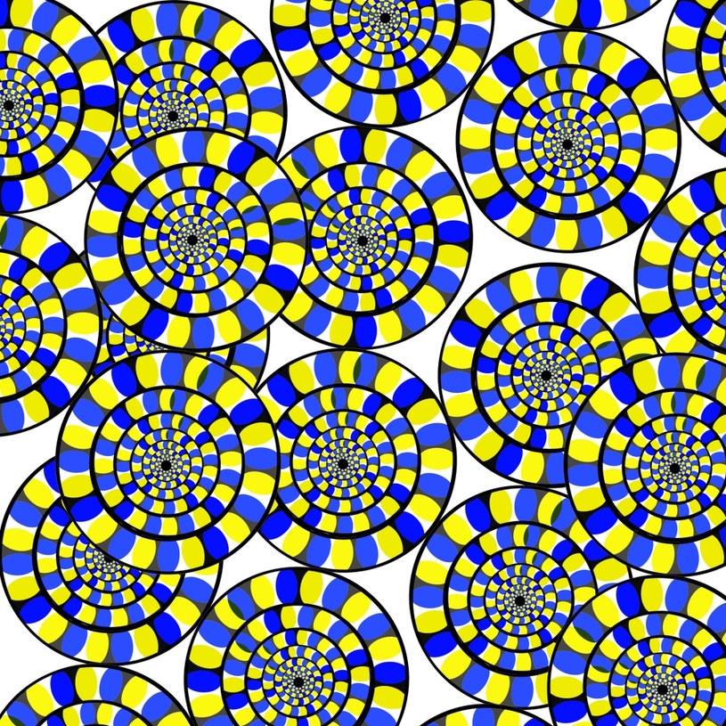 Iluzja optyczna - dyski sprawiają wrażenie nieustannie poruszających się /123RF/PICSEL