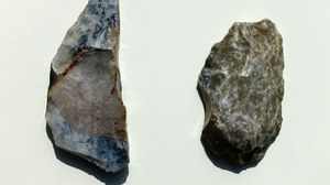 Iłża: Ślady neandertalczyka w Polsce. "Bardzo ważne odkrycie"
