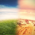 Im cieplej, tym szybciej się ociepla. Zmiany klimatu uwalniają szkodliwe gazy 