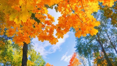 IMGW: Mamy najcieplejszy wrzesień w historii pomiarów 