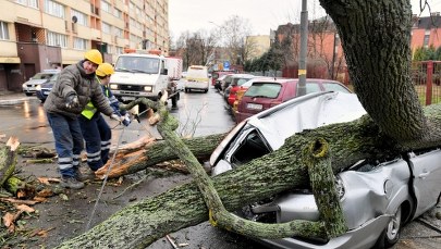 IMGW ostrzega: Mocno powieje w sześciu województwach