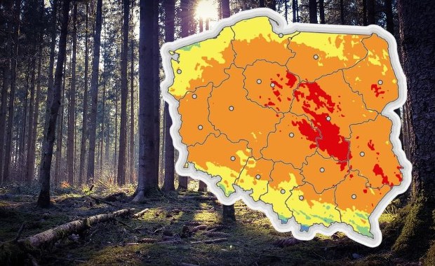 IMGW ostrzega przed dużym zagrożeniem. Wystarczy sekunda, by spłonął las