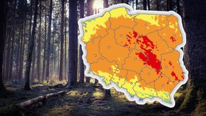 IMGW ostrzega przed dużym zagrożeniem. Wystarczy sekunda, by spłonął las