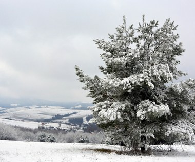 IMGW ostrzega przed intensywnymi opadami śniegu na południu kraju