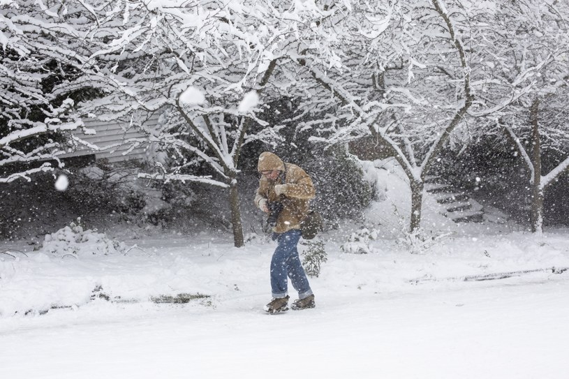 IMGW ostrzega przed mrozem i opadami śniegu /David Ryder /AFP