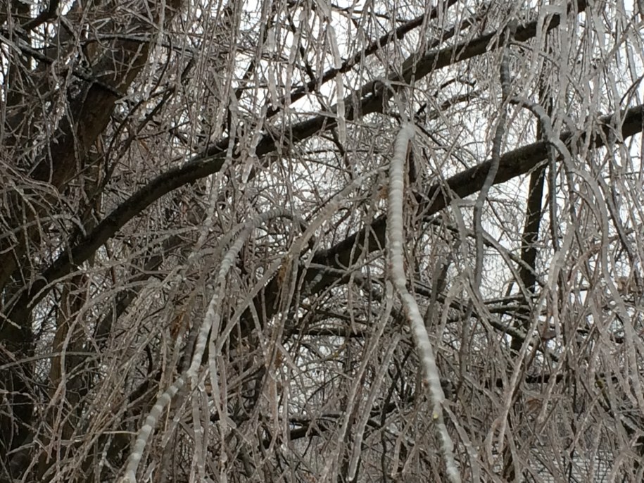 IMGW ostrzega przed silnym mrozem na Warmii i Mazurach oraz na Podlasiu /Archiwum RMF FM