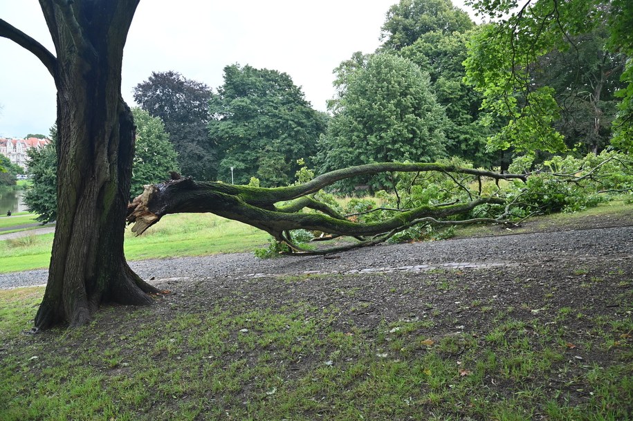 IMGW ostrzega przed silnym wiatrem głównie na północy i zachodzie Polski / 	Marcin Bielecki    /PAP