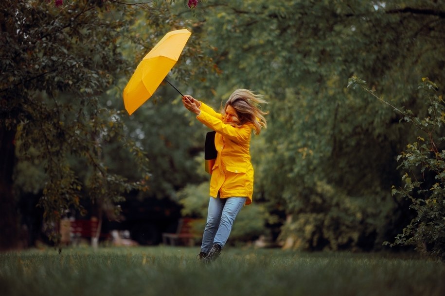 IMGW ostrzega przed silnym wiatrem /Shutterstock