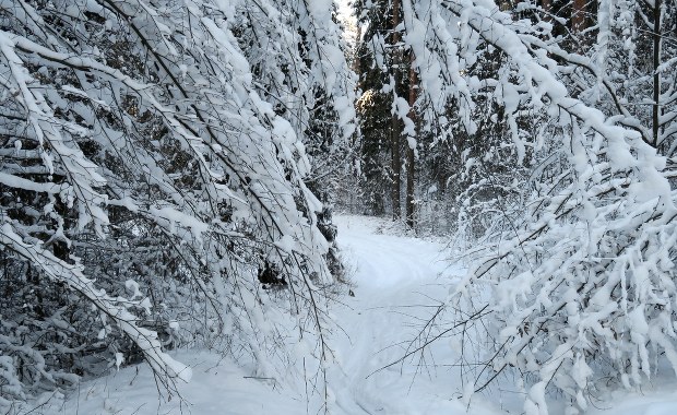 IMGW ostrzega: Silny mróz niemal w całej Polsce, a do tego intensywny śnieg 