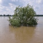 IMGW ostrzega: Wezbrania na dolnej Wiśle i na dolnej Odrze