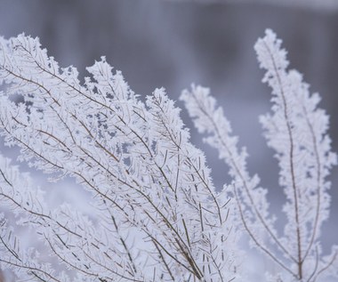 IMGW ostrzega: Ze wschodu nadciąga mróz. Na drogach może być ślisko i niebezpiecznie