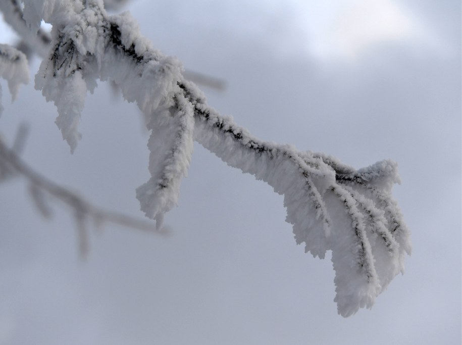 IMGW: Ostrzeżenia przed silnym mrozem dla trzech województw /Kirill Kukhmar /PAP/EPA