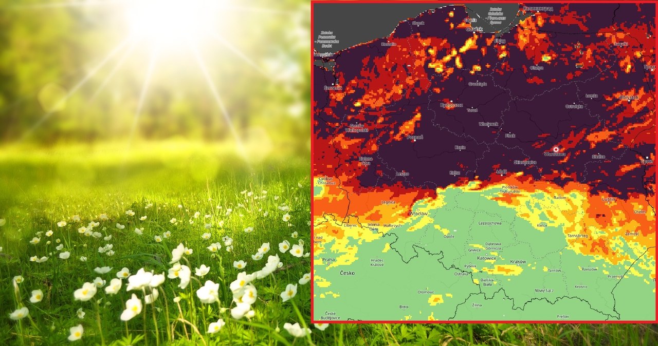 IMGW radzi, jak można pomóc w walce z suszą /Pixabay/wxcharts /