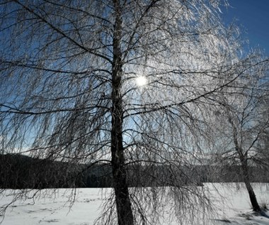 IMGW: W weekend będzie cieplej, ale w poniedziałek powrócą mrozy 