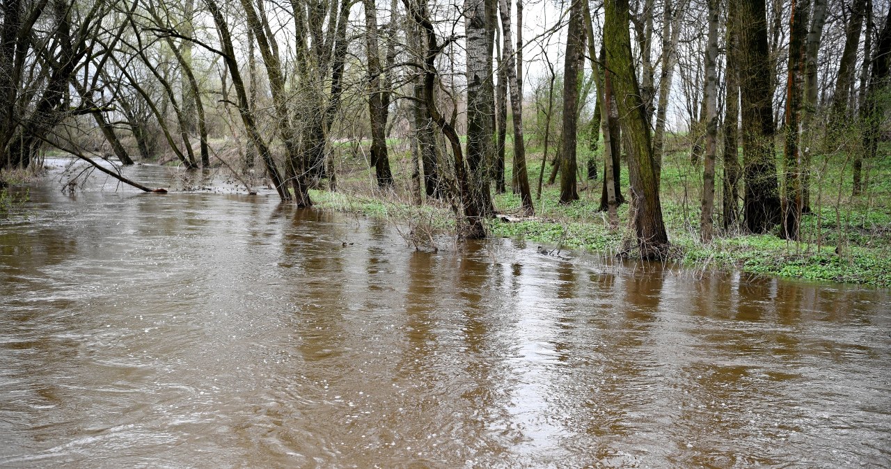 IMGW wydał alerty hydrologiczne. Sprawdź! 