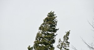 IMGW wydał alerty I i II stopnia dla 13 województw