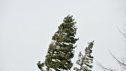 IMGW wydał alerty I i II stopnia dla 13 województw