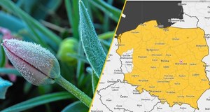 IMGW wydał ostrzeżenia. Niemal cała Polska objęta alertami
