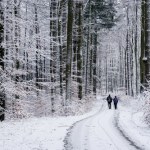 IMGW wydał ostrzeżenia przed silnym mrozem