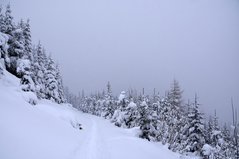 IMGW zapowiada intensywne opady śniegu /Albin Marciniak /East News