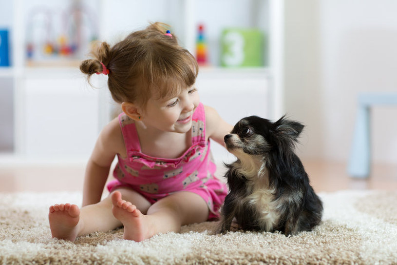 Imię Luna jest nadawane zarówno dziewczynkom jak i... psom czy kotom /123RF/PICSEL