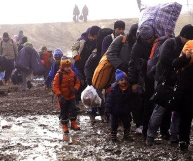 Imigranci z obozowiska w Calais wdzierają się do domów. Szukają żywności i pieniędzy?