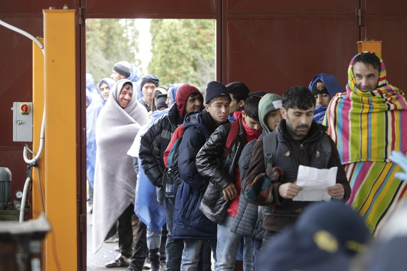 Imigranci; zdj. ilustracyjne /AFP